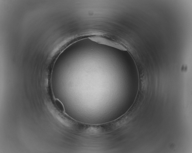 X0000112350350200908201445
