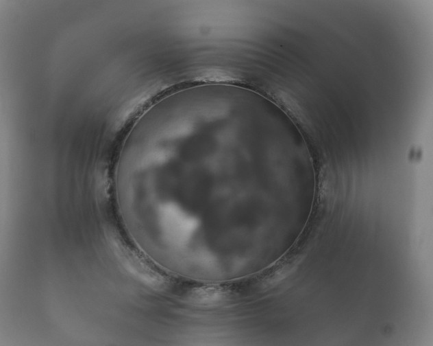 X0000112350351200908201445