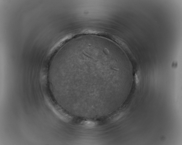 X0000112350352200908201445