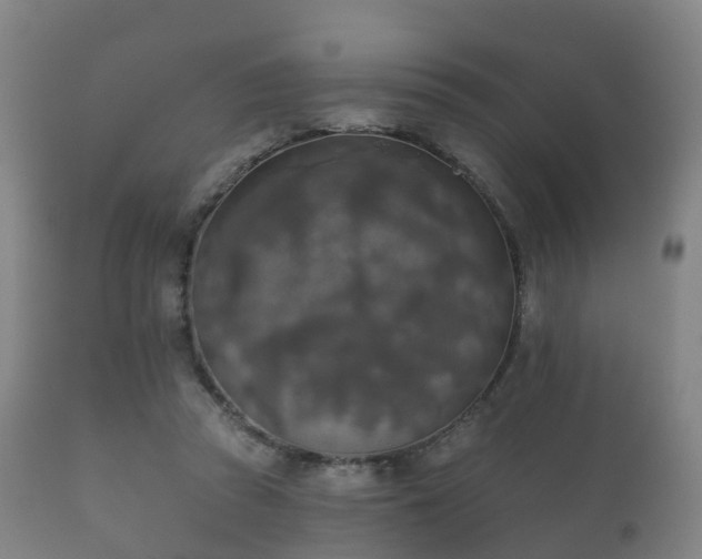 X0000112350353200908201445