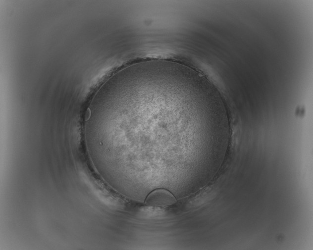 X0000112350354200908201445