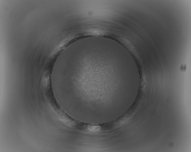 X0000112350355200908201445