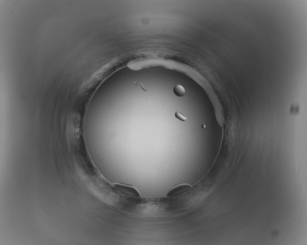 X0000112350356200908201445