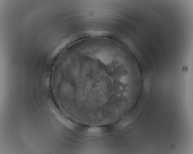 X0000112350357200908201445