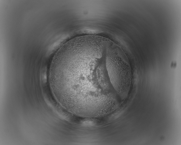 X0000112350358200908201445