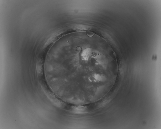 X0000112350359200908201445