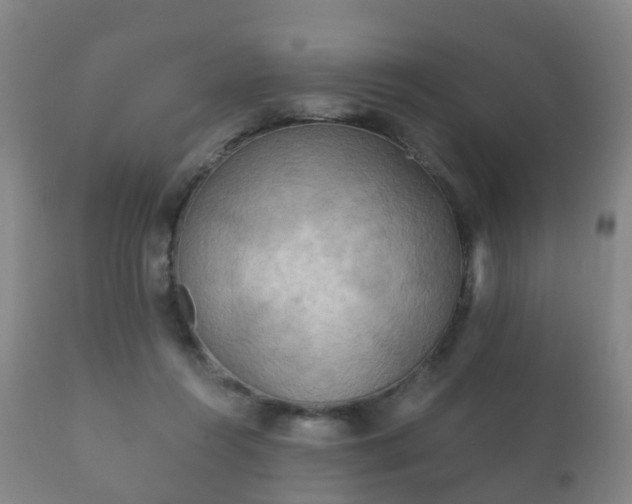 X0000112350360200908201445
