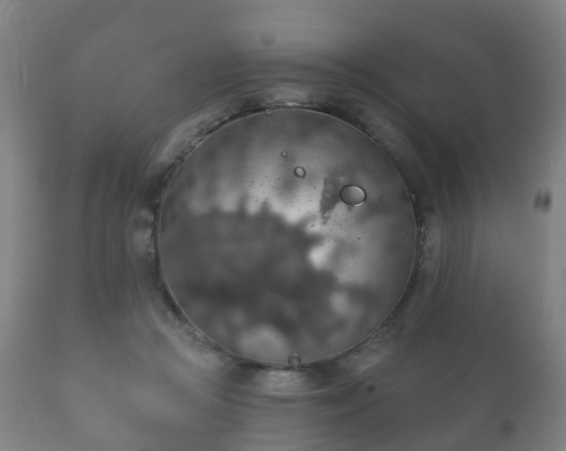 X0000112350361200908201445