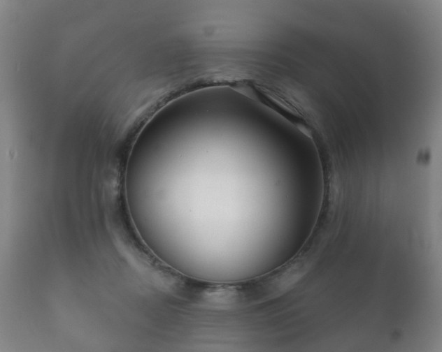 X0000112350362200908201445