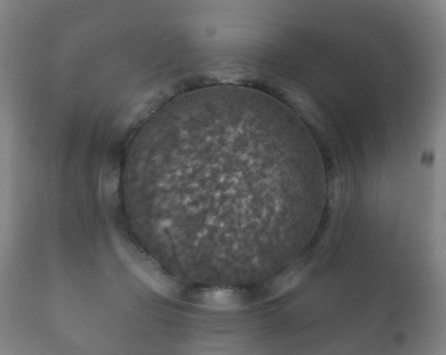 X0000112350365200908201445