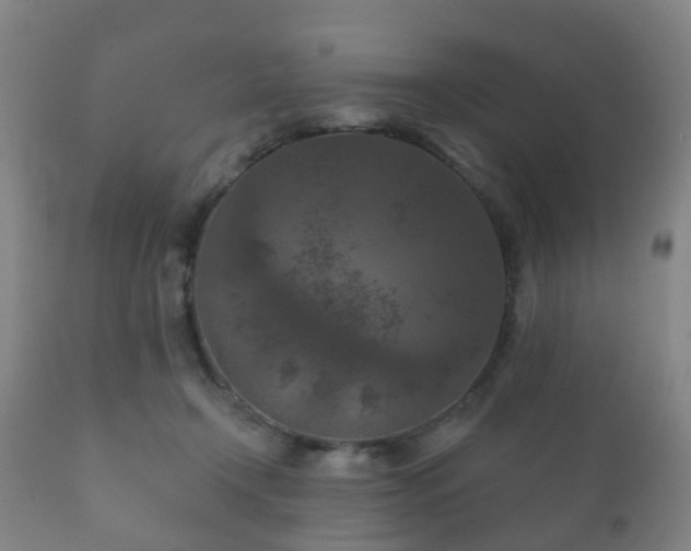 X0000112350366200908201445