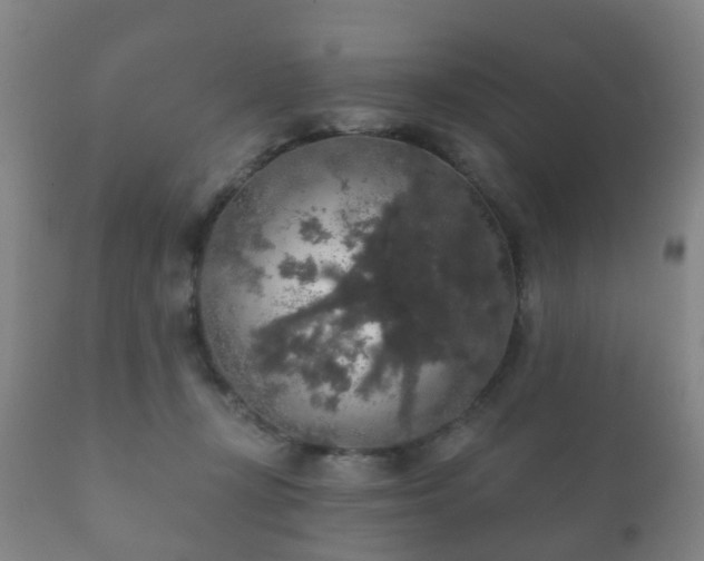 X0000112350367200908201445