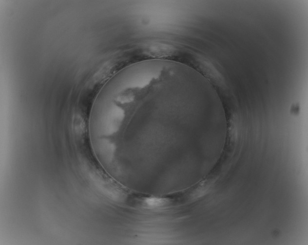 X0000112350371200908201445