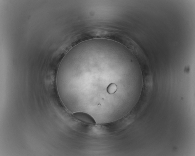 X0000112350372200908201445