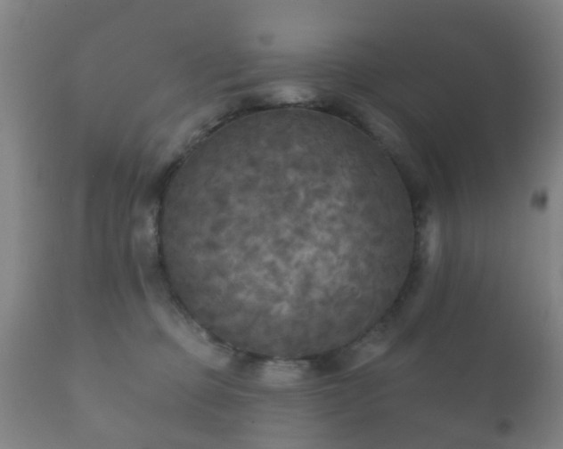 X0000112350373200908201445