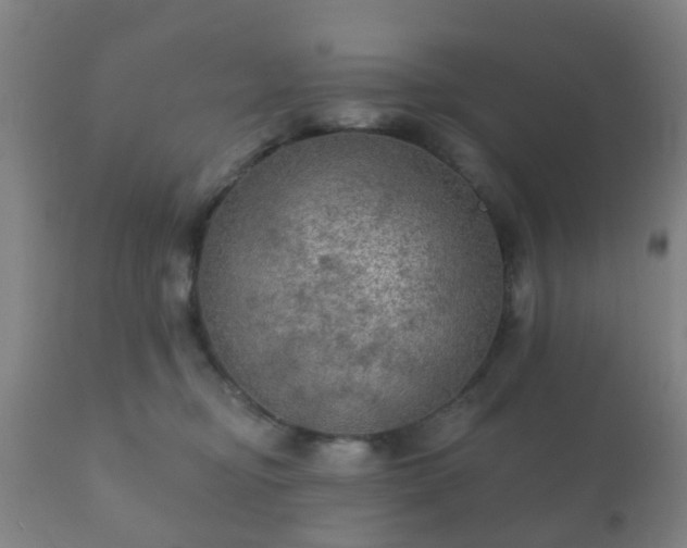 X0000112350374200908201445