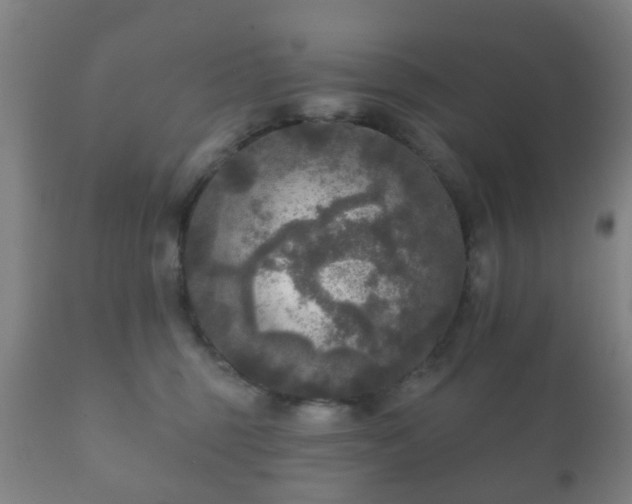 X0000112350375200908201445
