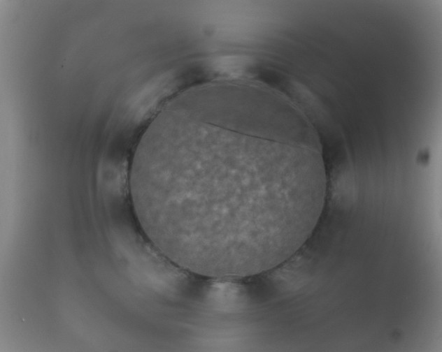 X0000112350376200908201445