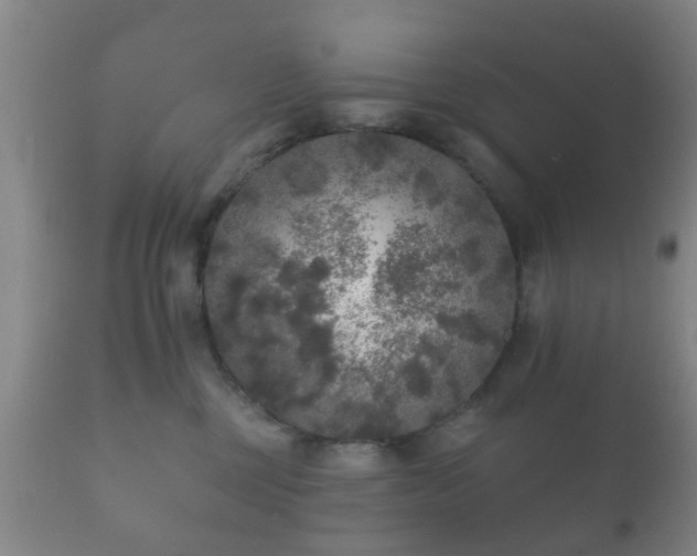 X0000112350377200908201445