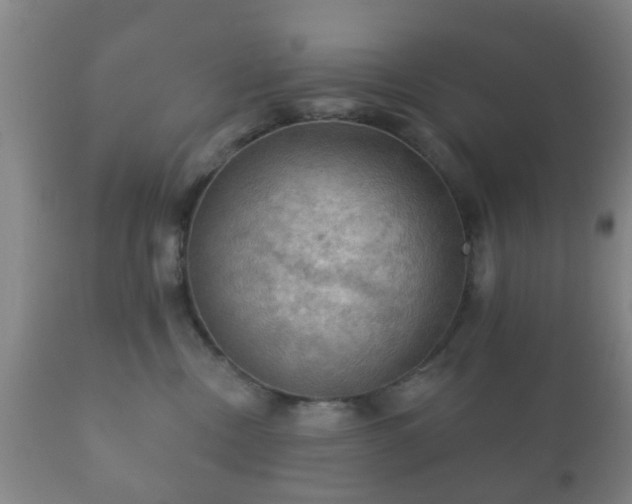 X0000112350378200908201445