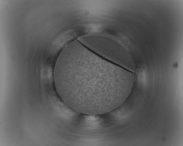 X0000112350380200908201445