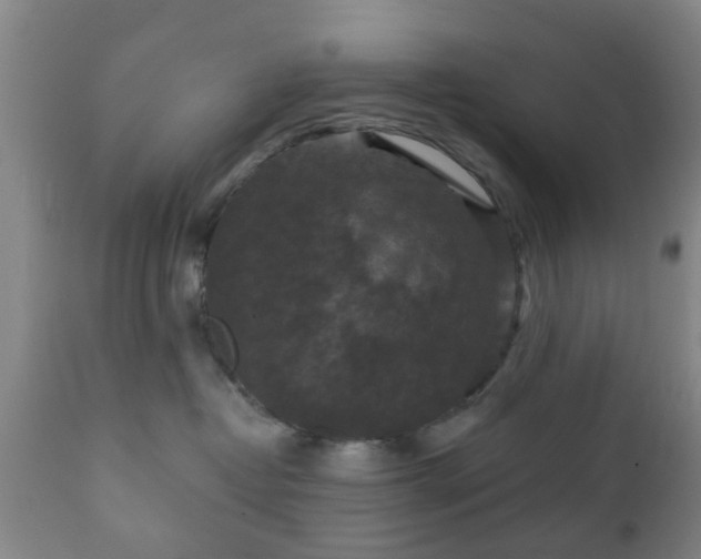 X0000112350382200908201445