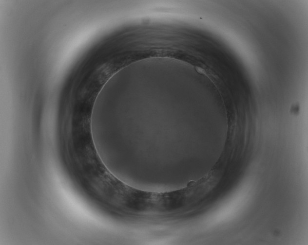 X0000112350383200908201445