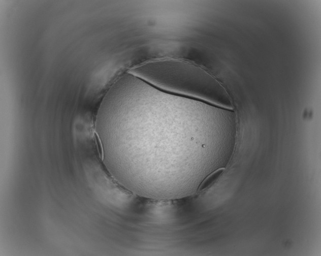 X0000112350384200908201445