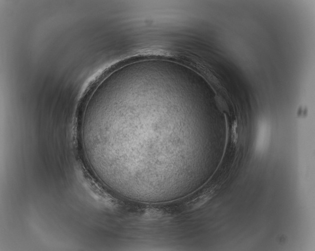 X0000112350388200908201445