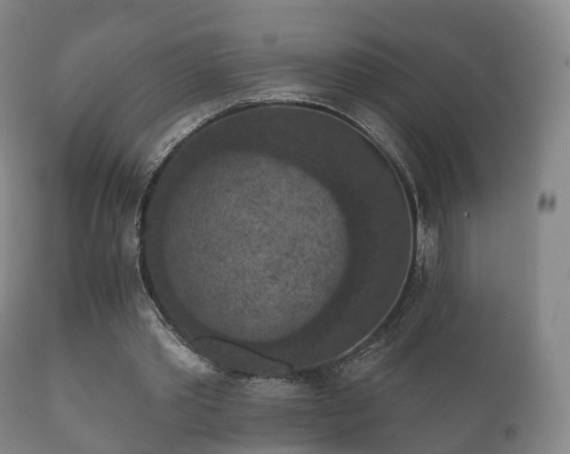 X0000112350389200908201445