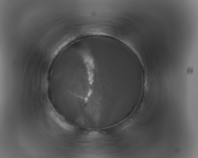 X0000112350390200908201445