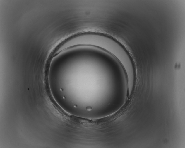 X0000112350391200908201445
