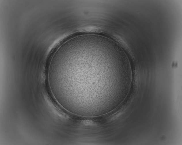 X0000112350392200908201445