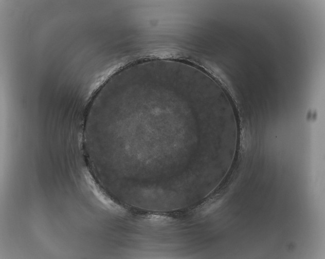 X0000112350393200908201445