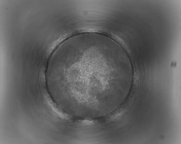 X0000112350394200908201445