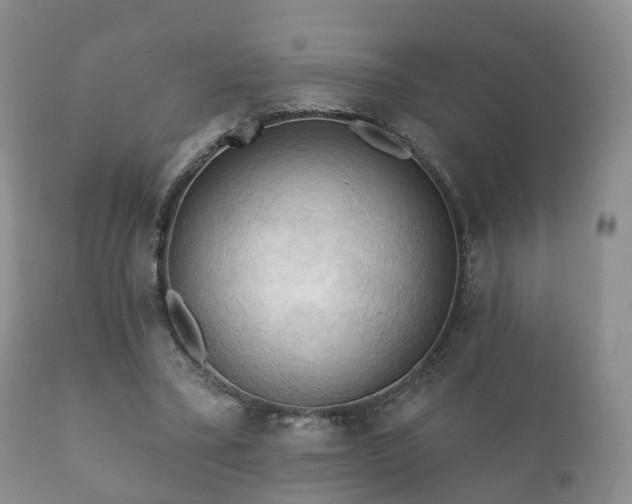 X0000112350395200908201445