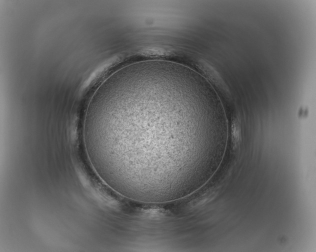 X0000112350396200908201445