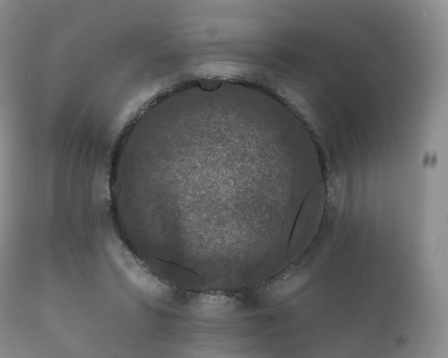 X0000112350399200908201445