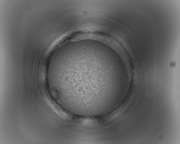 X0000112350400200908201445
