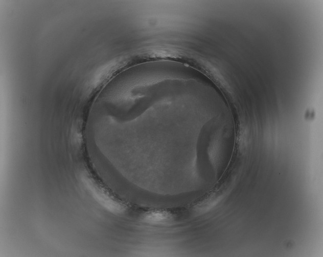 X0000112350402200908201445