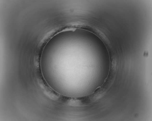 X0000112350403200908201444