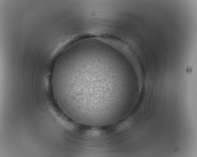 X0000112350404200908201444