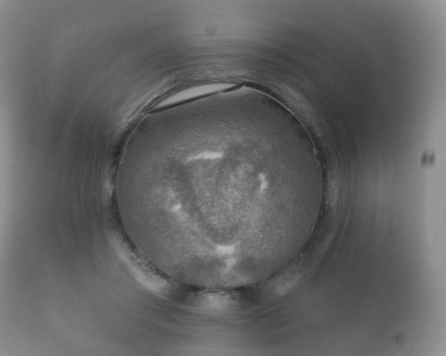 X0000112350405200908201444