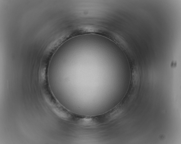 X0000112350406200908201444