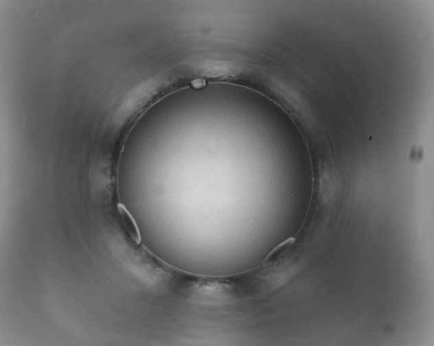 X0000112350407200908201444
