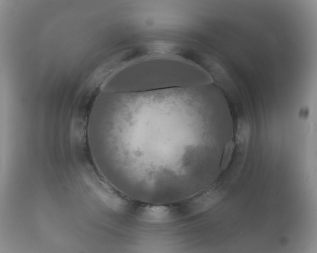 X0000112350409200908201444