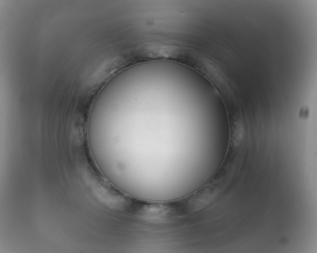 X0000112350414200908201444