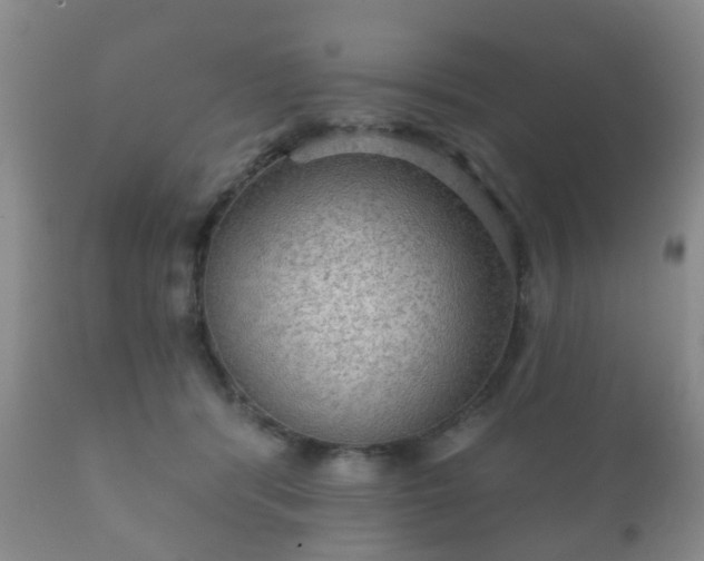 X0000112350416200908201444
