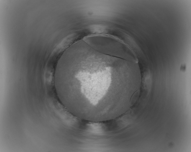 X0000112350417200908201444