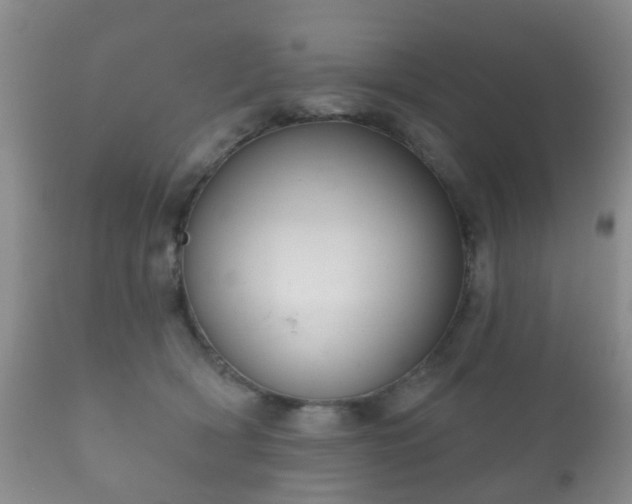 X0000112350418200908201444